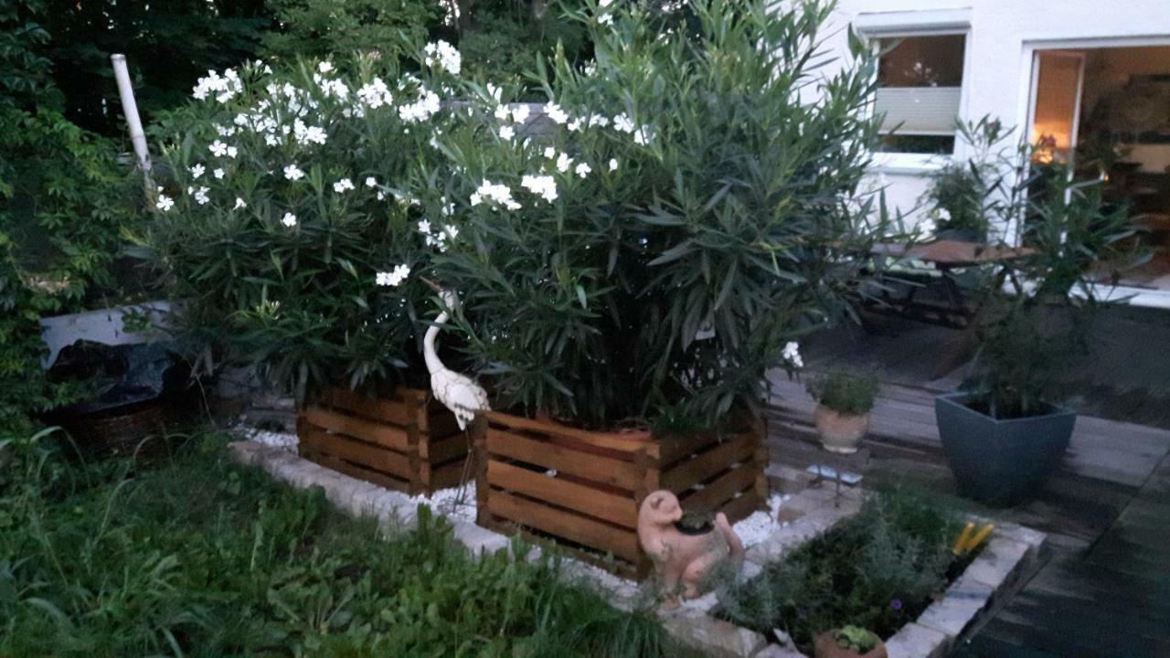שטראובינג Apartments Am Spitalthor מראה חיצוני תמונה